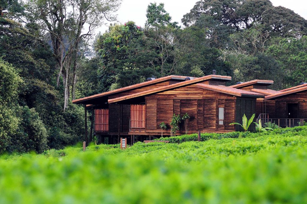 One & Only Nyungwe House