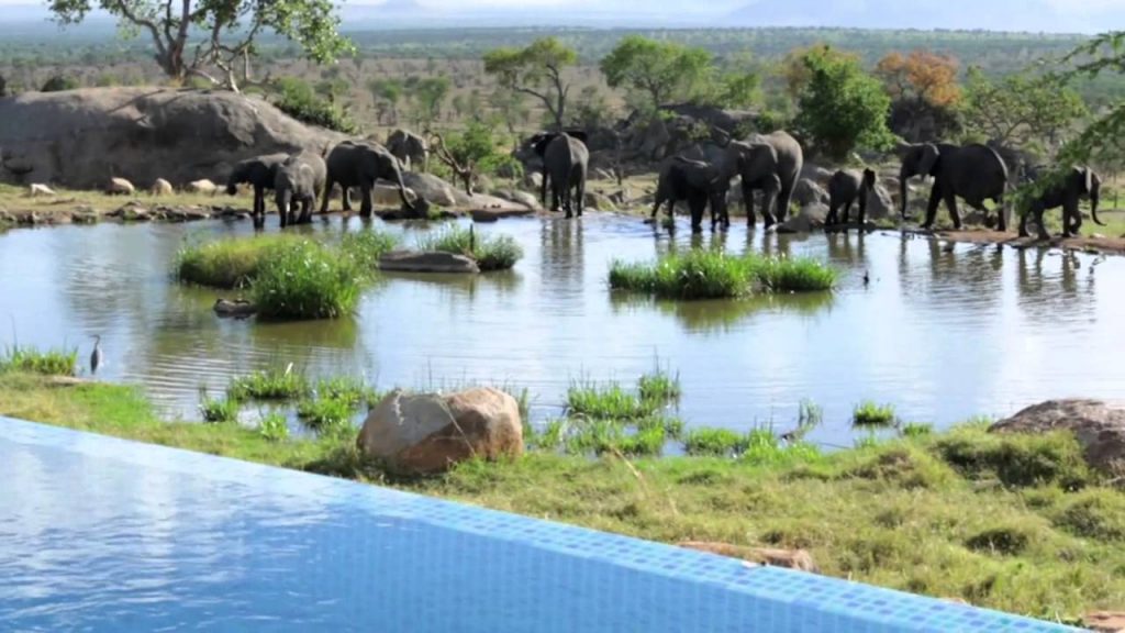 Four-season Safari Lodge experience