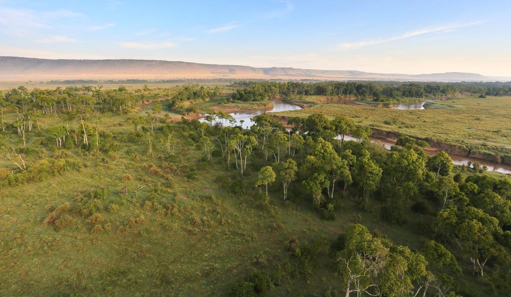 Mara Triangle in Nairobi