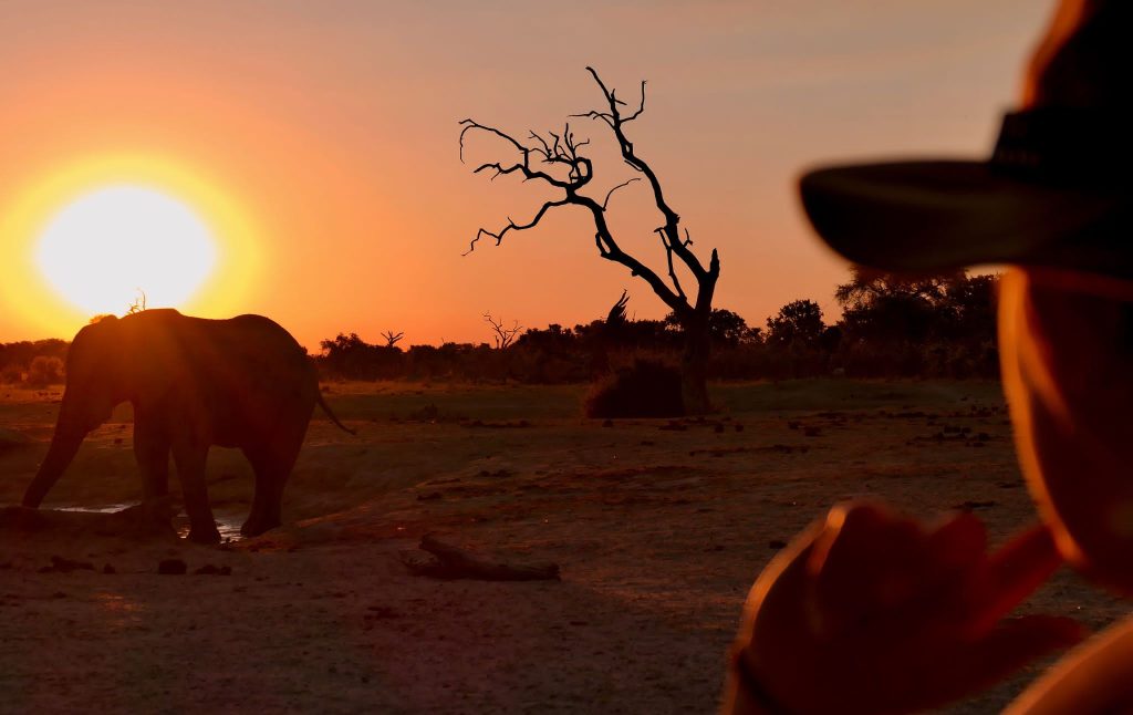 8 Days Best of Northern Tanzania Safari Package