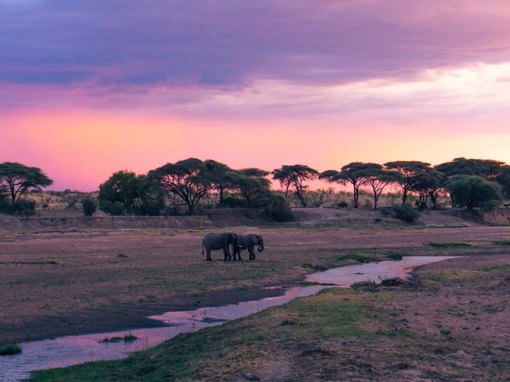 Ruaha National Park | Luxury Safaris Tanzania
