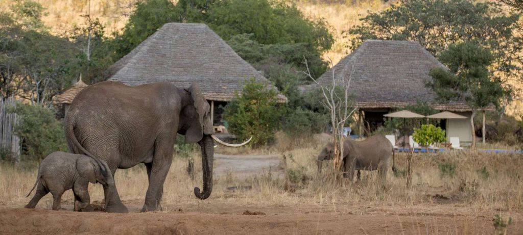 Tarangire National Park