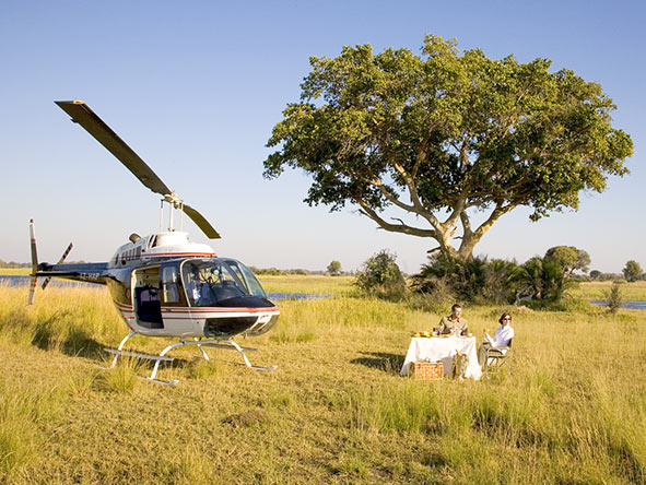 Maasai Mara, Rwanda gorillas, and Victoria Falls.
