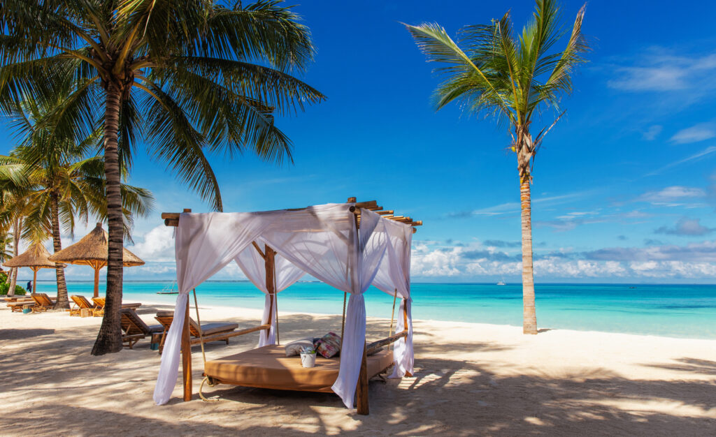 Tanzania Safaris - Tailor Made Wildlife & Wildebeest Migration Safaris