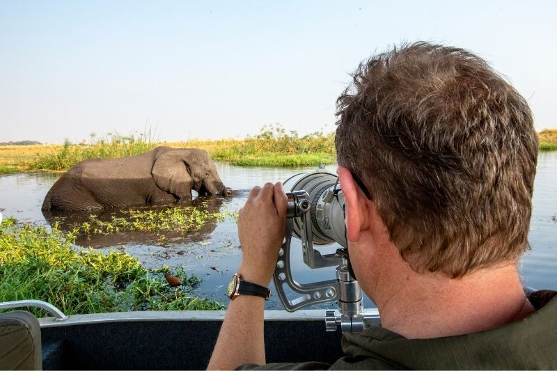 Chobe National Park African Photographic Safaris
