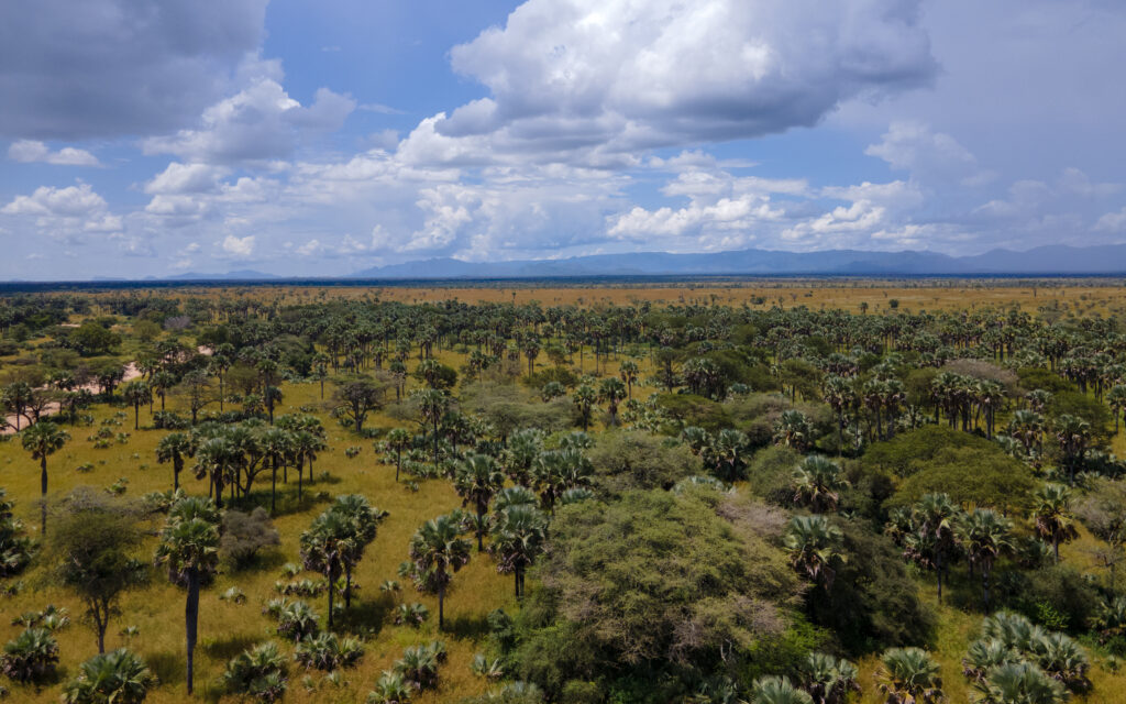 Kidepo Valley National Park.