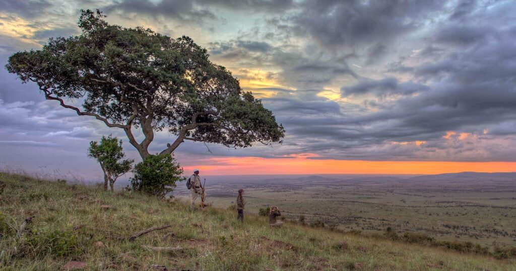 Best Time to Visit Serengeti National Park & Ngorongoro Crater