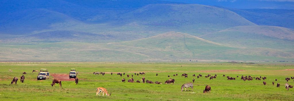 A Complete Travel Guide to Ngorongoro Conservation Area