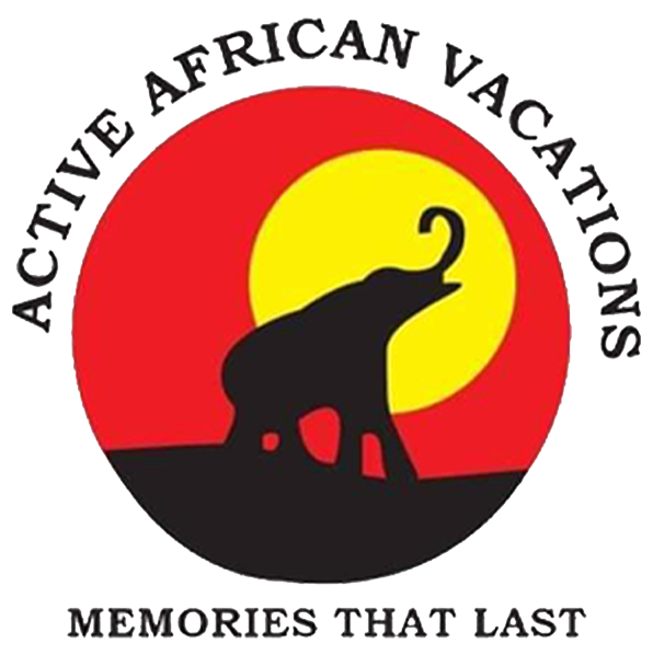 Luxury Safaris Tanzania
