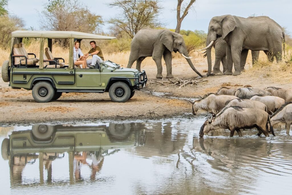 Lake Manyara vs. Tarangire: Which Is Better for a Safari in Tanzania?