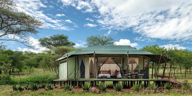 Ole Serai Luxury Camp—Moru Kopjes