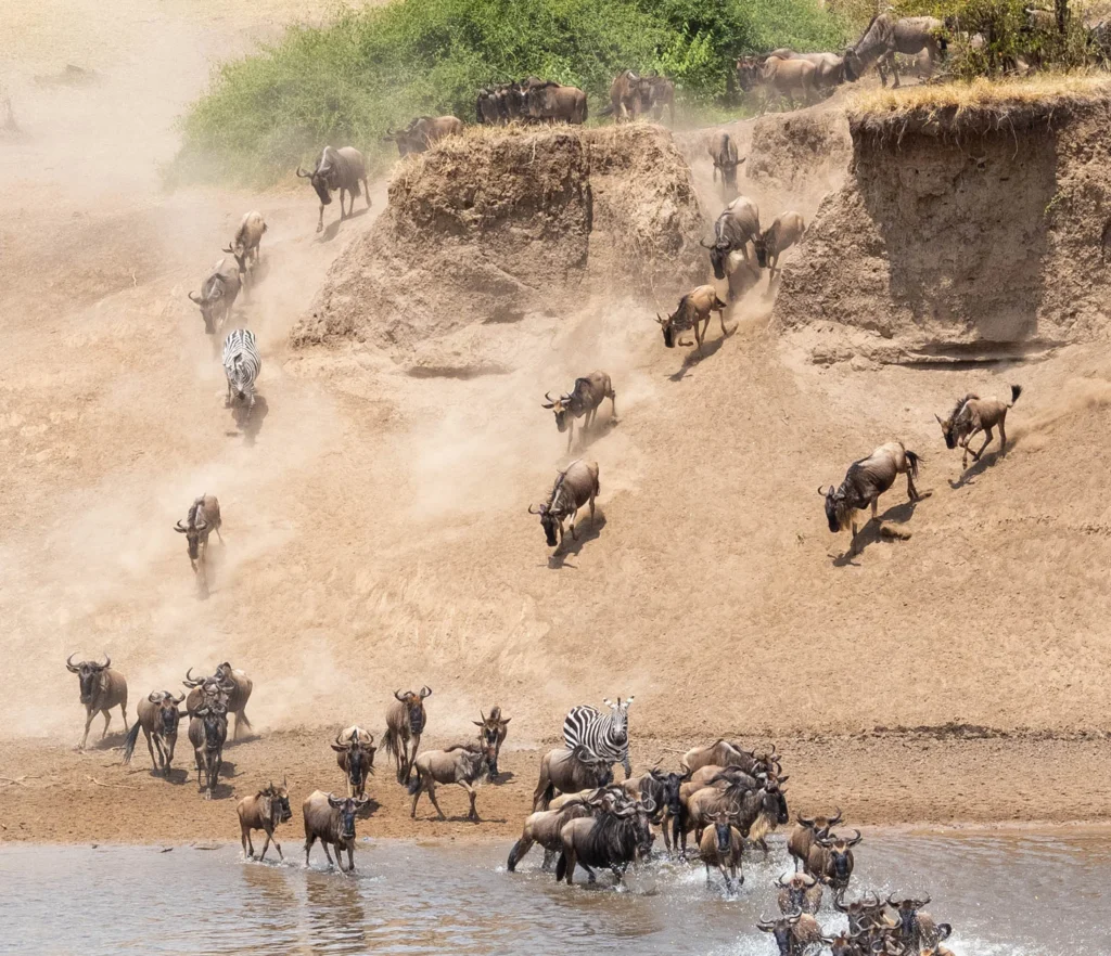 Luxury Great Migration Safari: Serengeti & Maasai Mara | 11-Day Exclusive Tour