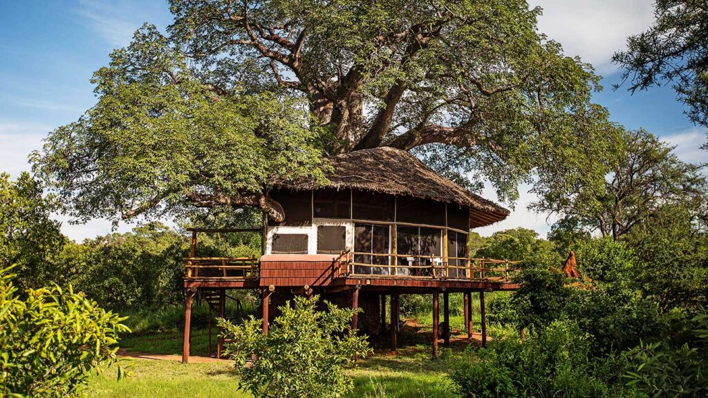 Tanzania Ultra Luxury Lodges: Tarangire TreeTops By Elewana