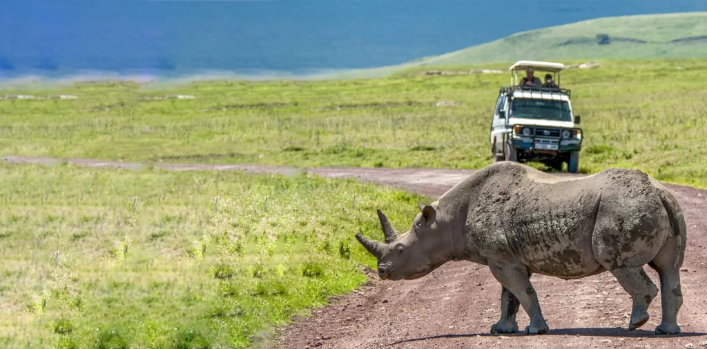 Serengeti & Ngorongoro Crater Safari | 3-Day Short Tour