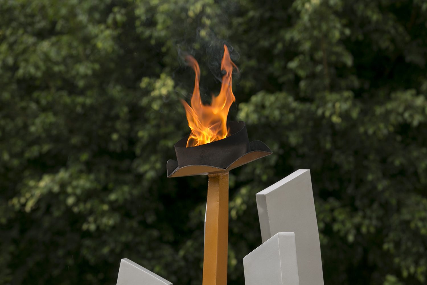 Rwanda Gorilla Trek & Kigali Genocide Memorial Visit.