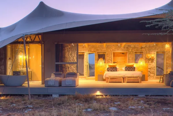 Central Serengeti Premium Lodge Comparison: Best Luxury Safari Stays