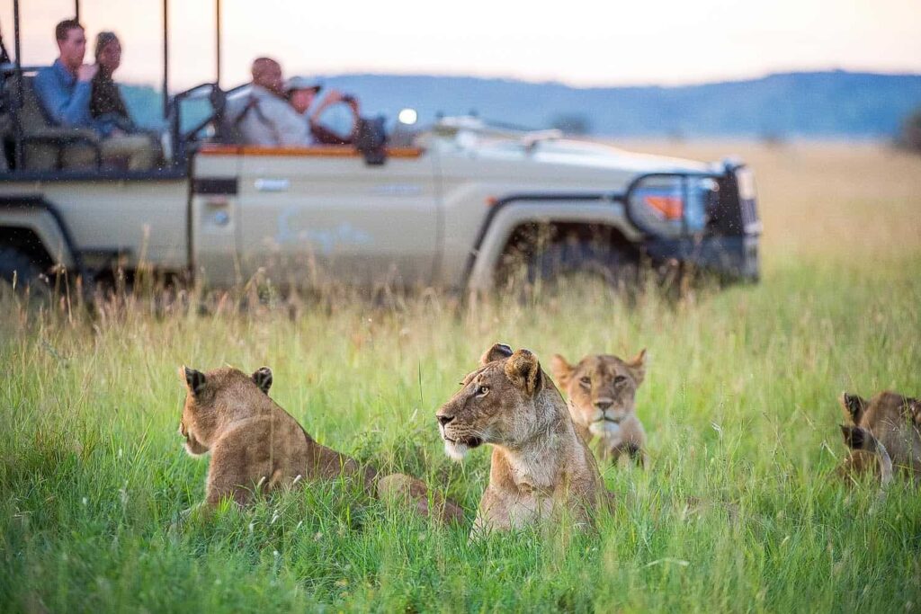 Custom-Built Private Safari Itineraries in Tanzania | Luxury Safaris Tanzania