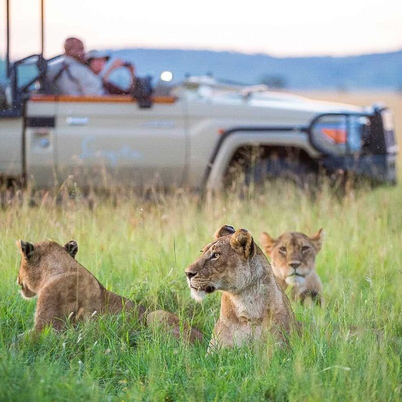 Custom-Built Private Safari Itineraries in Tanzania | Luxury Safaris Tanzania