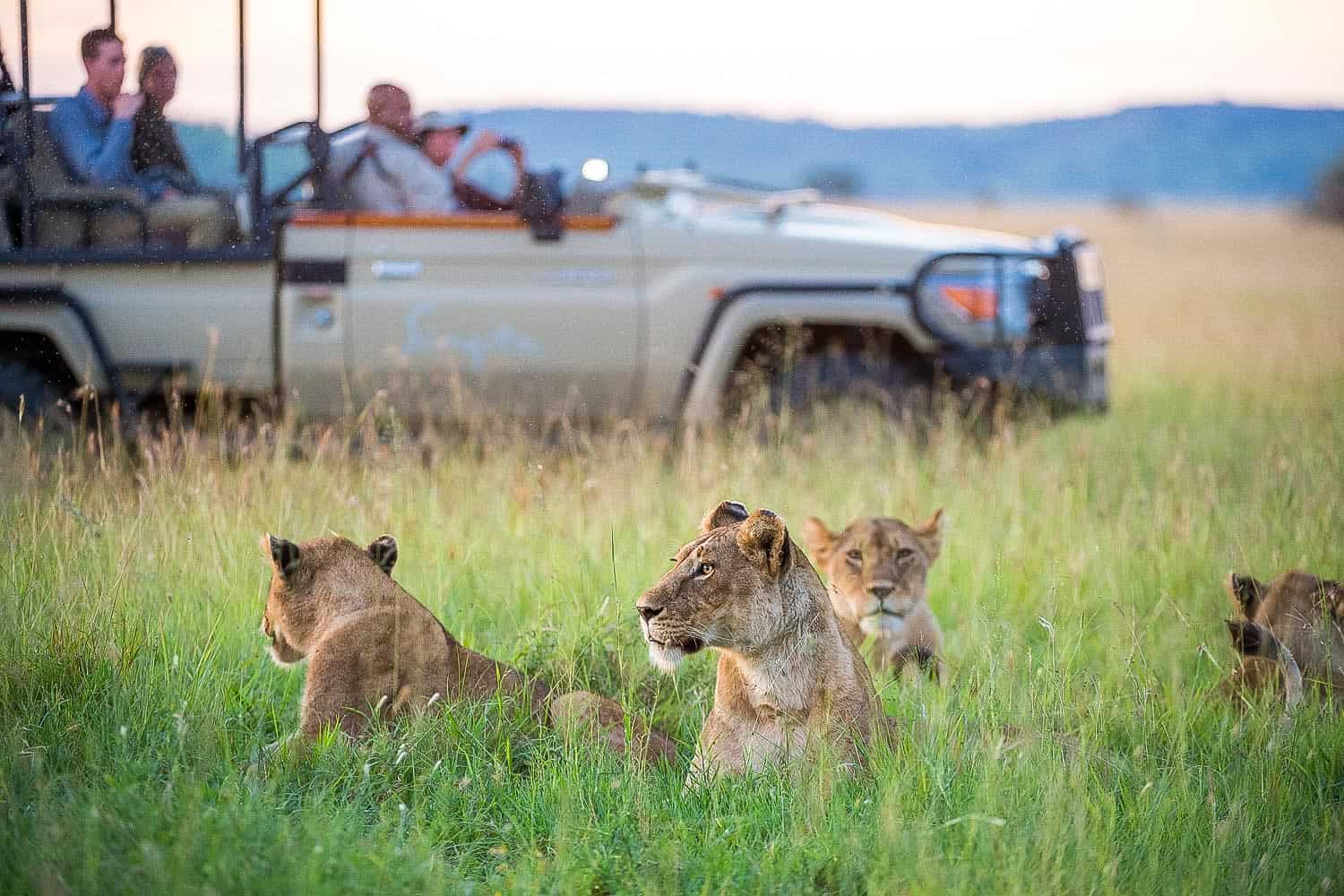 Custom-Built Private Safari Itineraries in Tanzania | Luxury Safaris Tanzania