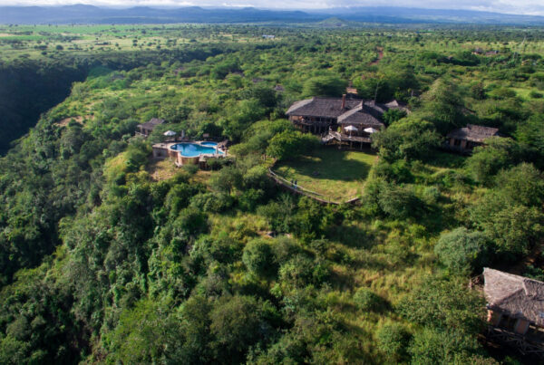 Lake Manyara Luxury Lodges: Exclusive Safari Stays in Tanzania