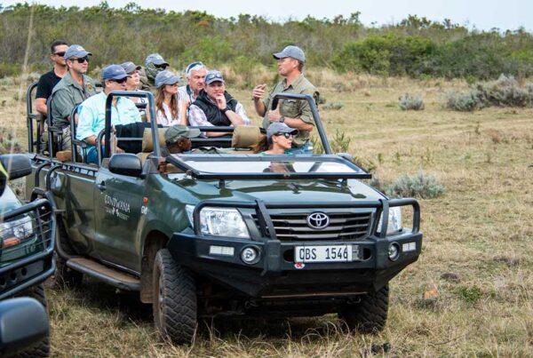 Executive Retreat Safari Tanzania: Private Leadership & Team-Building Safaris