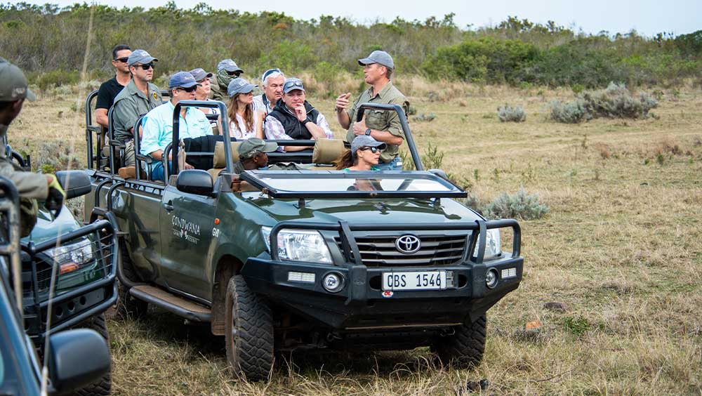 Executive Retreat Safari Tanzania: Private Leadership & Team-Building Safaris