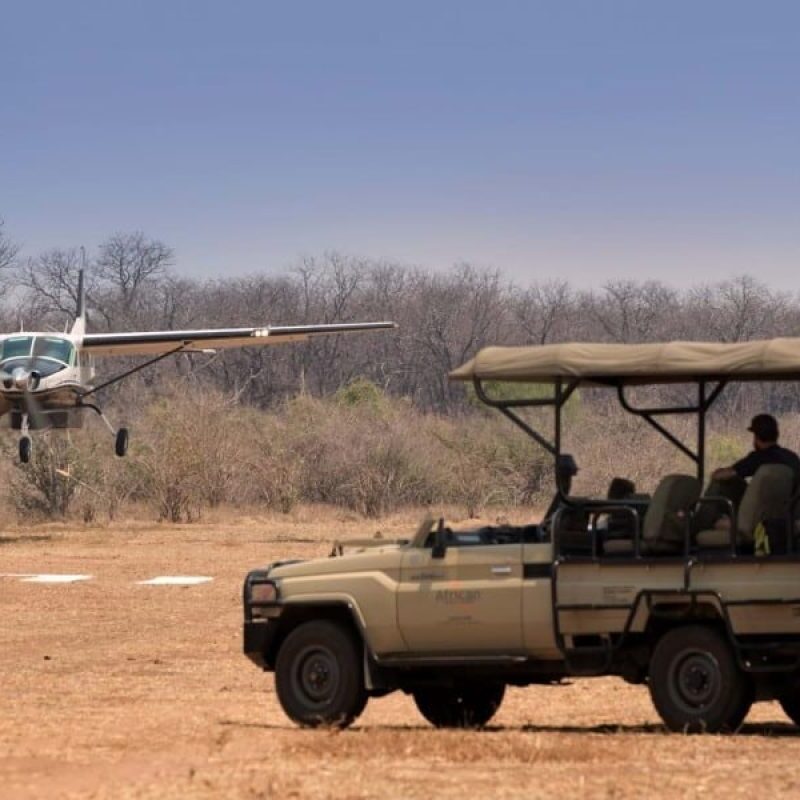 Fly-In Serengeti Luxury Safari: Premium Camps & Bush Flights