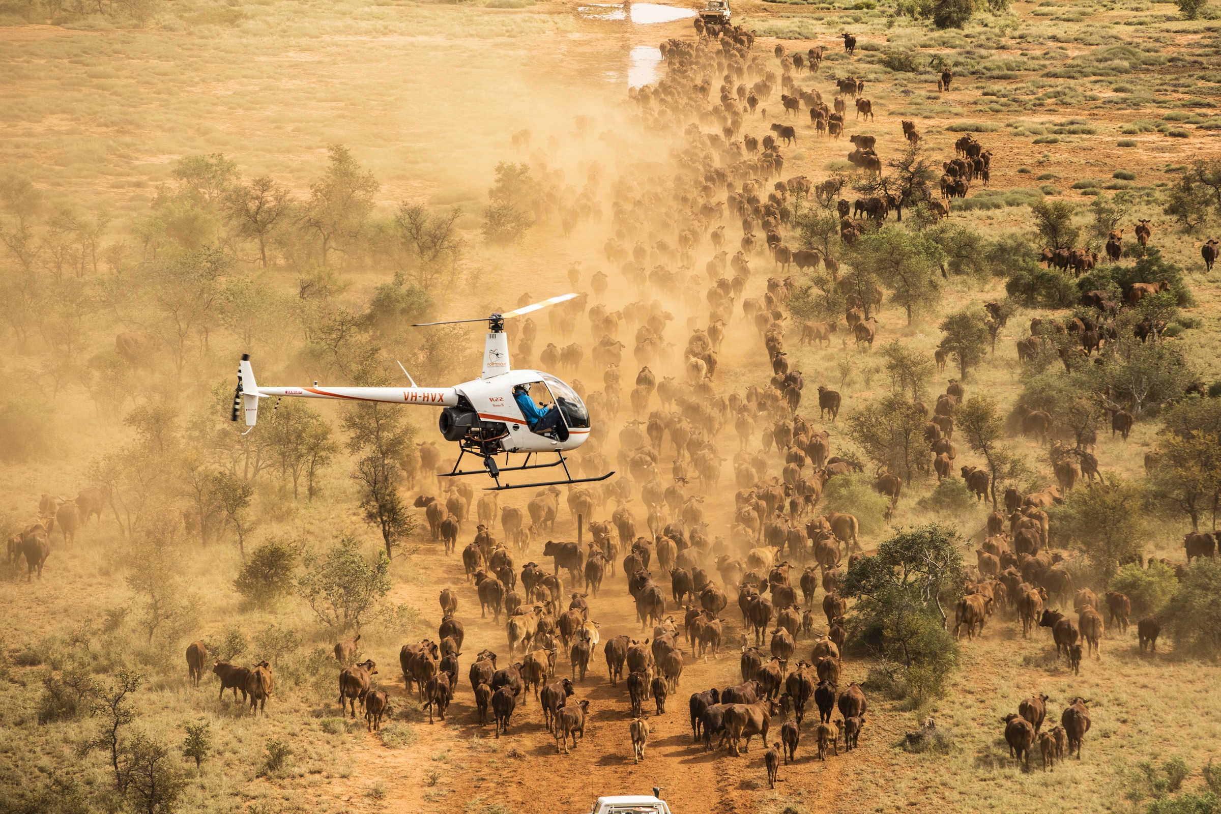 Helicopter Safari Over the Serengeti: Luxury Aerial Wildlife Experience
