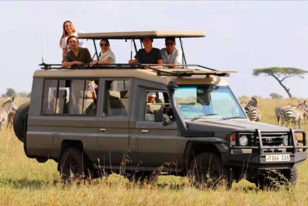 Luxury Safari Tanzania for Repeat Travelers: Exclusive Safari Guide