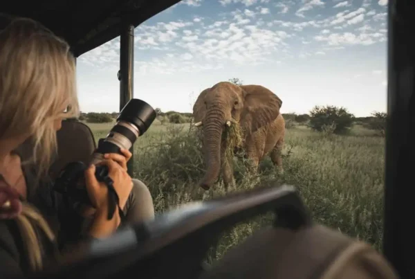 Luxury Safari in Tanzania with a Personal Photographer: Preserve Every Moment