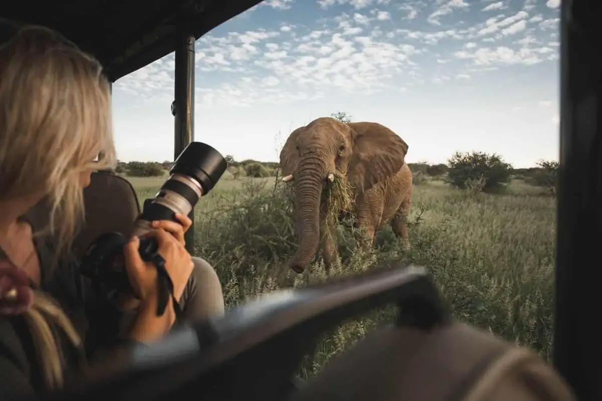 Luxury Safari in Tanzania with a Personal Photographer: Preserve Every Moment