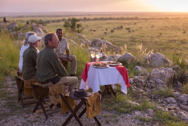 Luxury Safari in Tarangire National Park: Elephant Herds & Baobab Landscapes