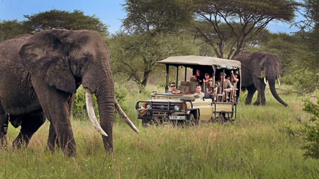 Tarangire Luxury Safari: Tanzania's Elephant Capital Experience