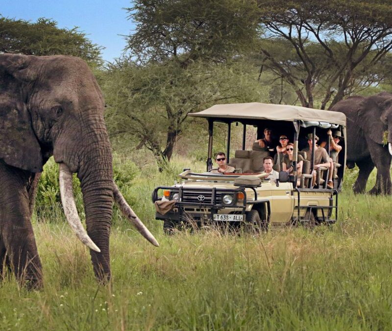 Tarangire Luxury Safari: Tanzania's Elephant Capital Experience