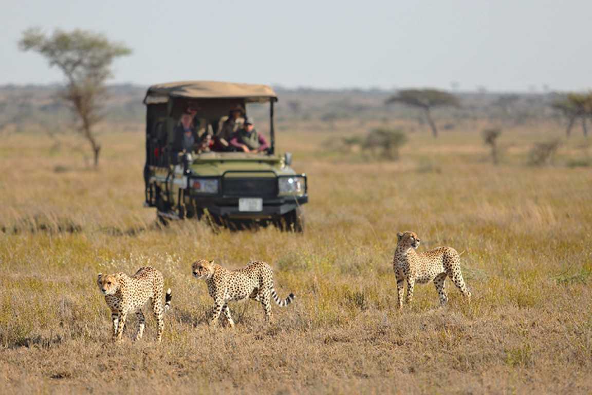 Why Tanzania Is Africa’s Top Luxury Safari Destination