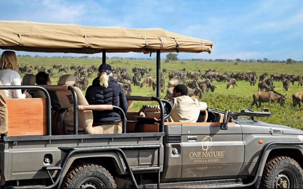 Serengeti Honeymoon Safari: Luxury Romantic Escape in Tanzania
