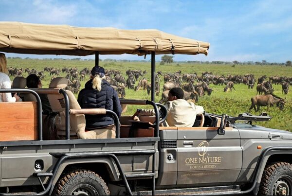 Serengeti Honeymoon Safari: Luxury Romantic Escape in Tanzania