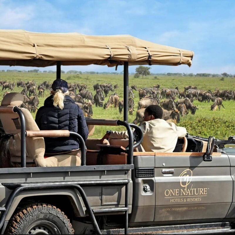 Serengeti Honeymoon Safari: Luxury Romantic Escape in Tanzania