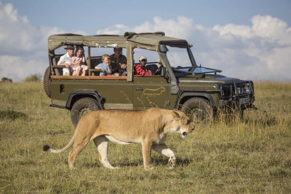Best Time to See the Great Migration in Luxury Style: Serengeti Safari Guide