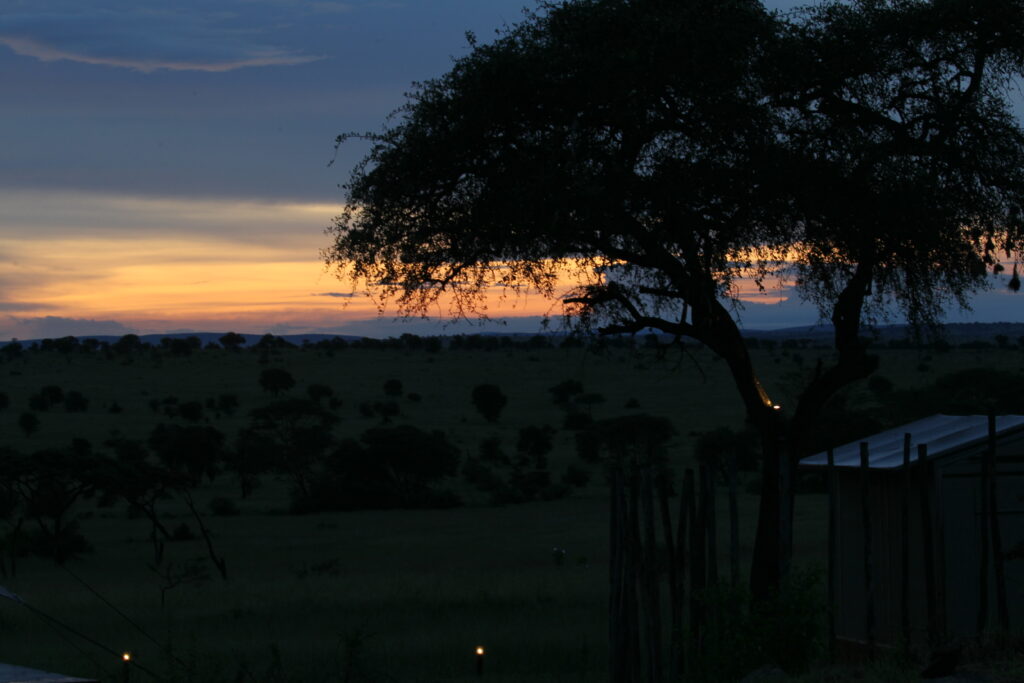Tanzania Photography Safari