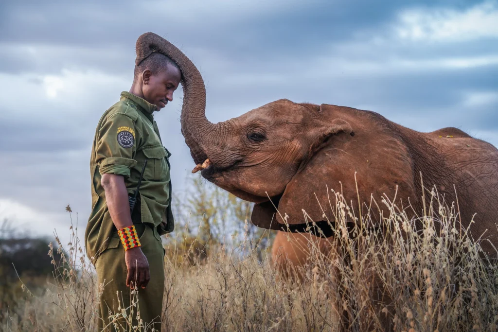 Reteti Elephant Sanctuary