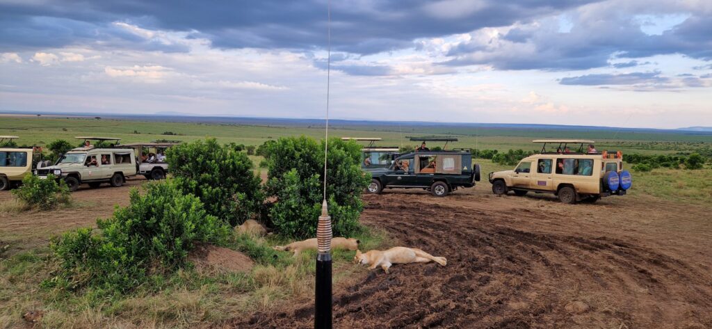 Ultimate East Africa Safari | Uganda, Kenya & Tanzania | 18 Days