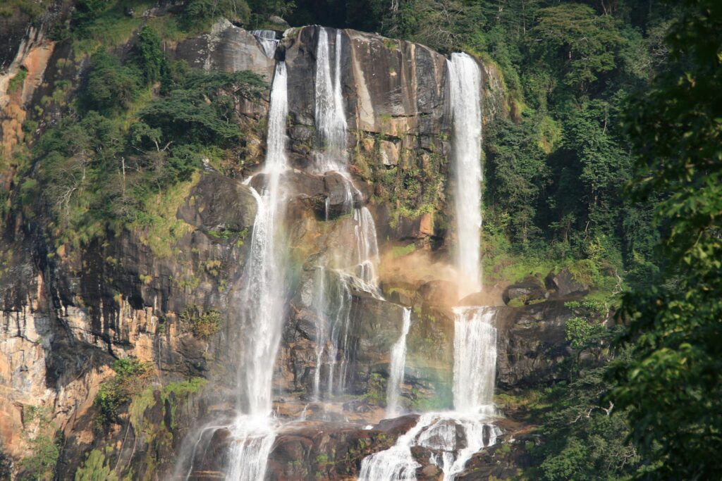 Sanje Waterfall Trail. Udzungwa Mountains