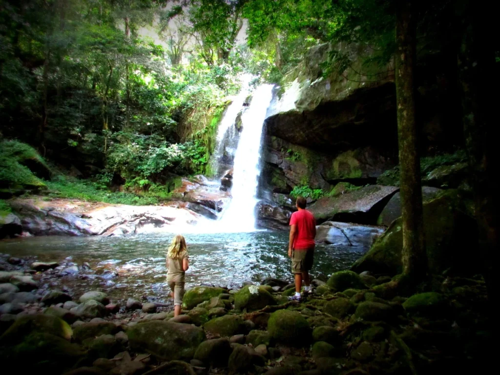Udzungwa Mountains National Park