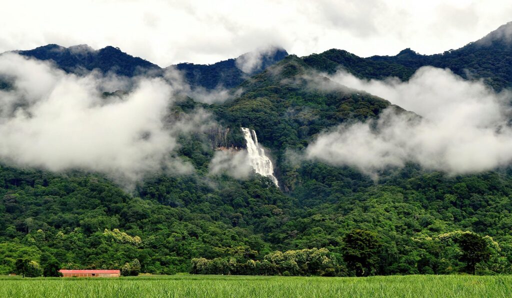 Udzungwa Mountains National Park | Tanzania's Lost World