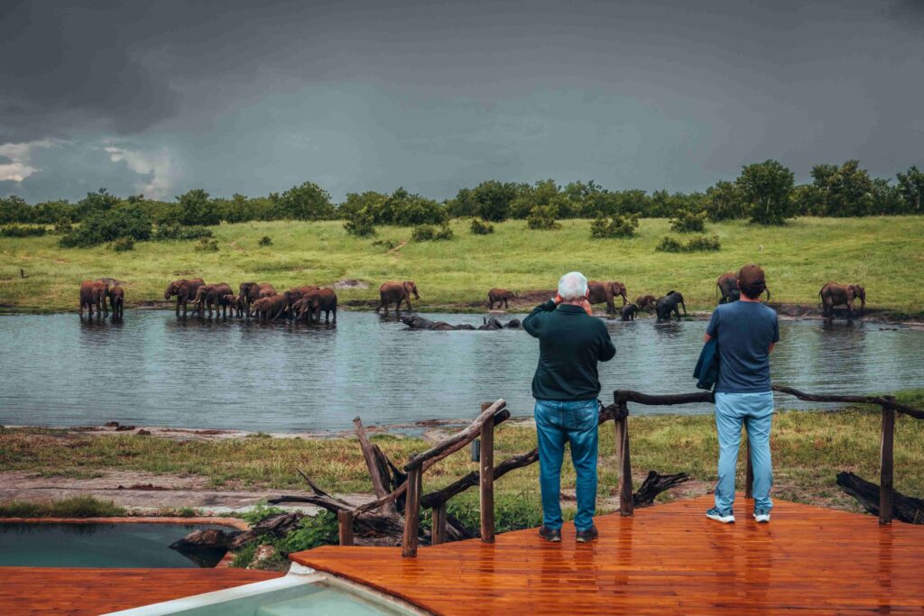 Hwange National Park — Zimbabwe's Wildlife Heartland