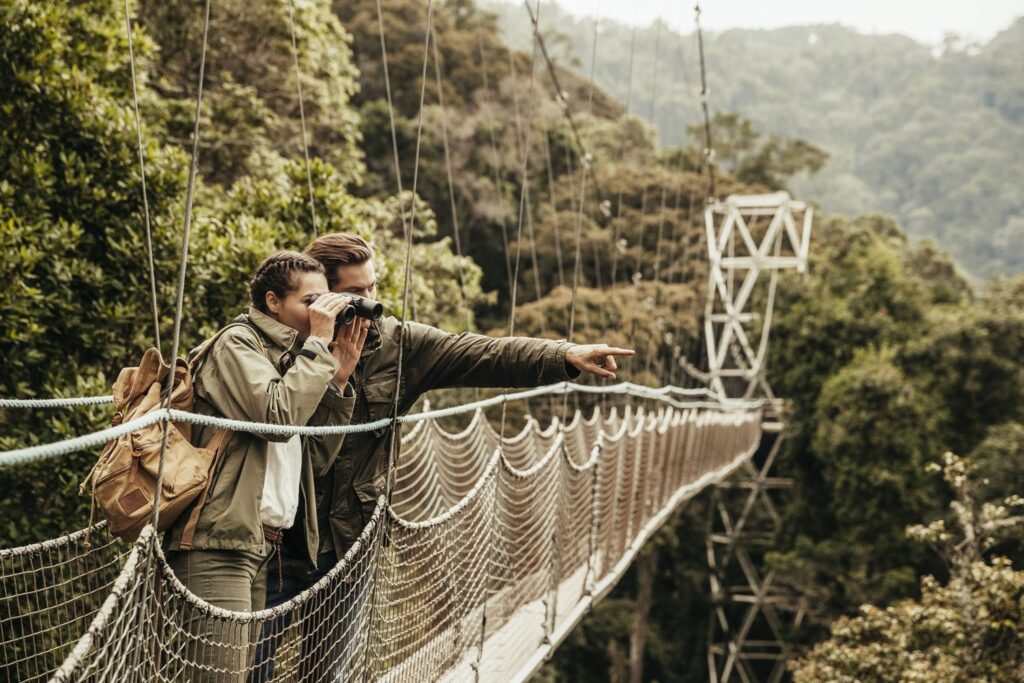 Rwanda Gorilla, Chimp & Safari | 11-Day Luxury Rwanda Fly-in Safari 