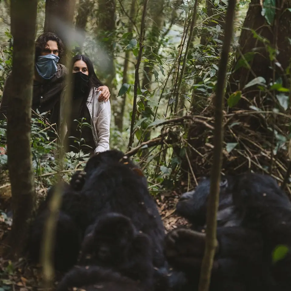 Gorilla Trekking for honeymooners