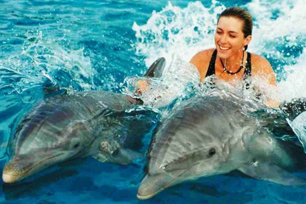 Dolphin Tour Zanzibar