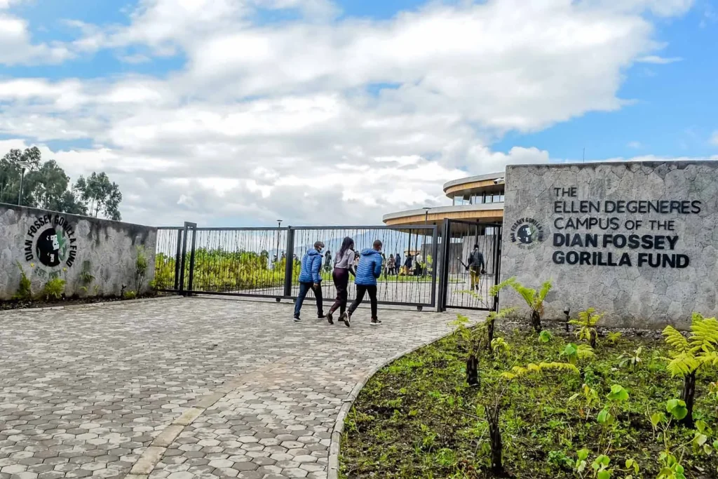 The Dian Fossey Legacy: Karisoke Research Centre
